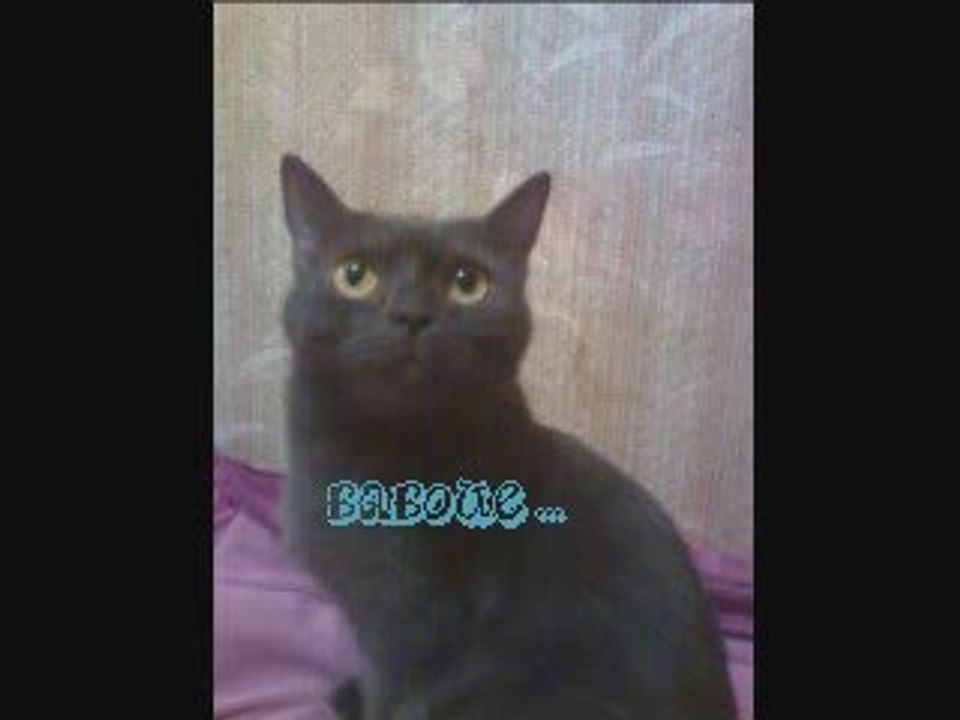 Baboue