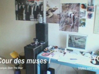 LYON 69007 Résidence étudiante La Cour Des Muses 1