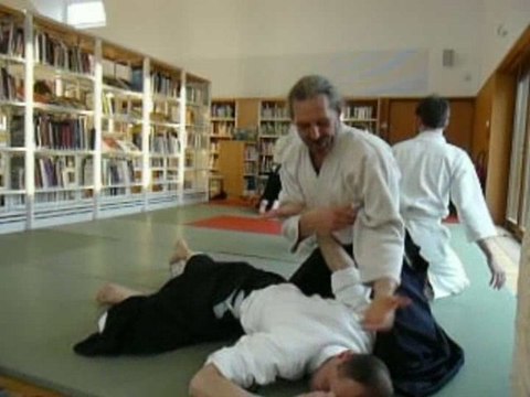 Aïkido Rosheim démo médiathèque