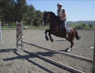 2 séances d'obstacle avec Nico