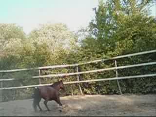 Saut en liberté fanjo 2