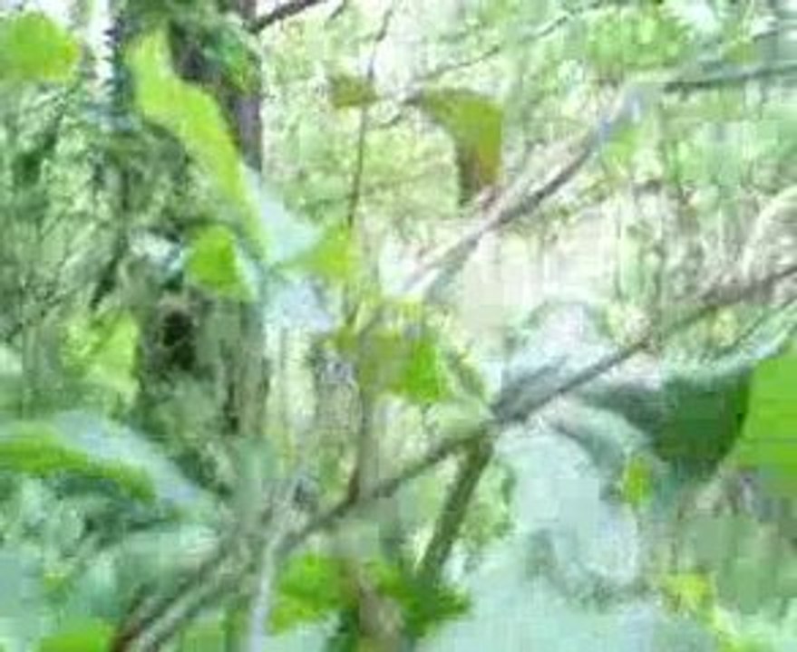 Assaut capture de bouteille