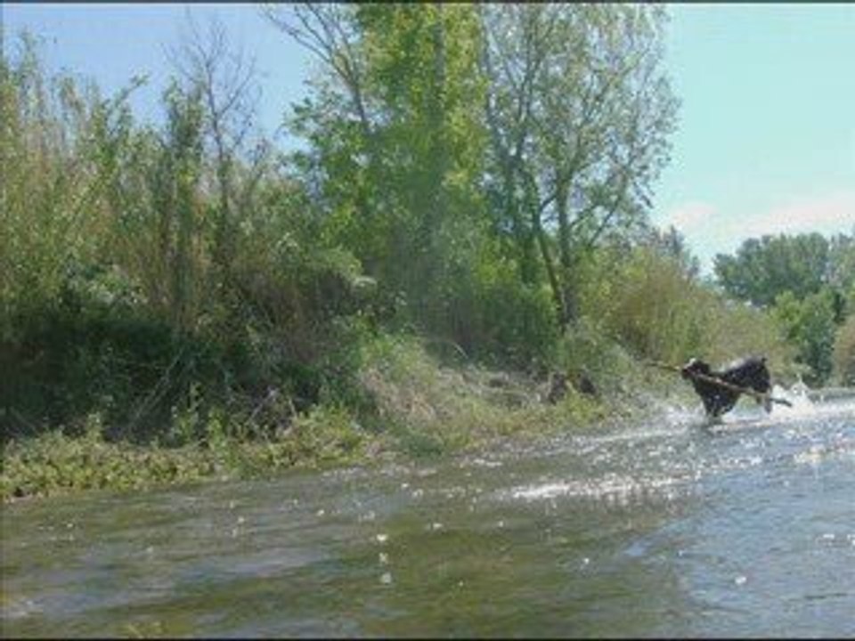 Sortie du 23 04 2009 une journée magnifique avec mes dobys