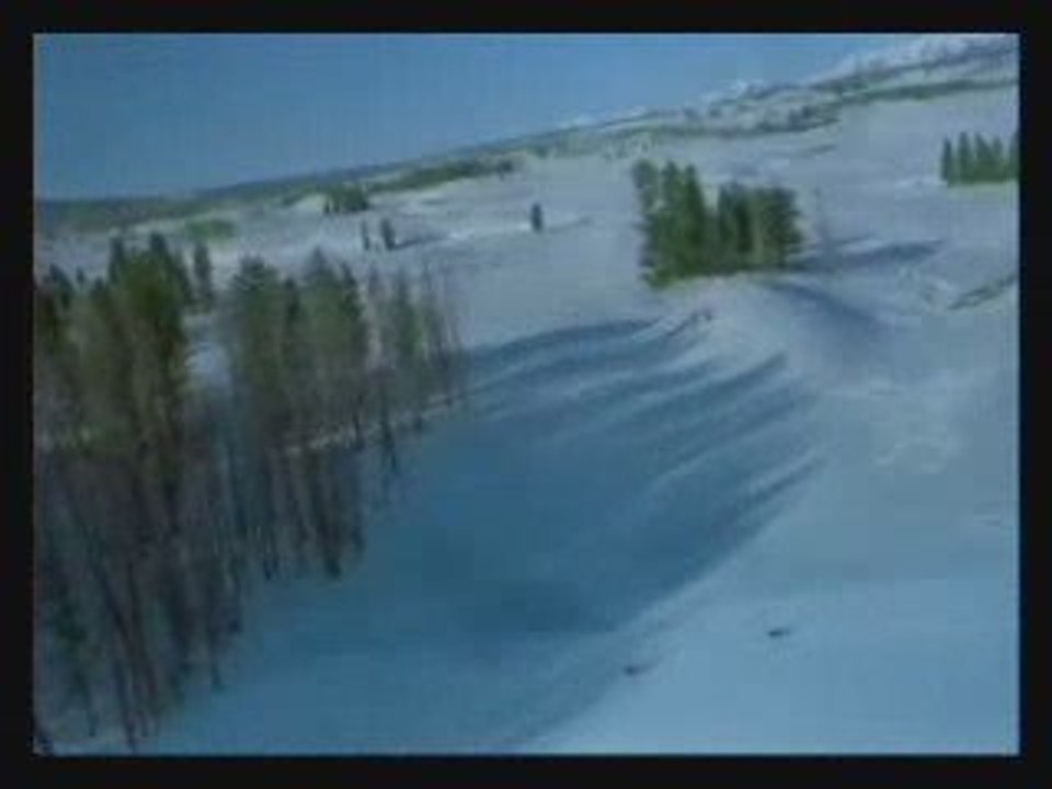 Le Loup un souffle de liberté...