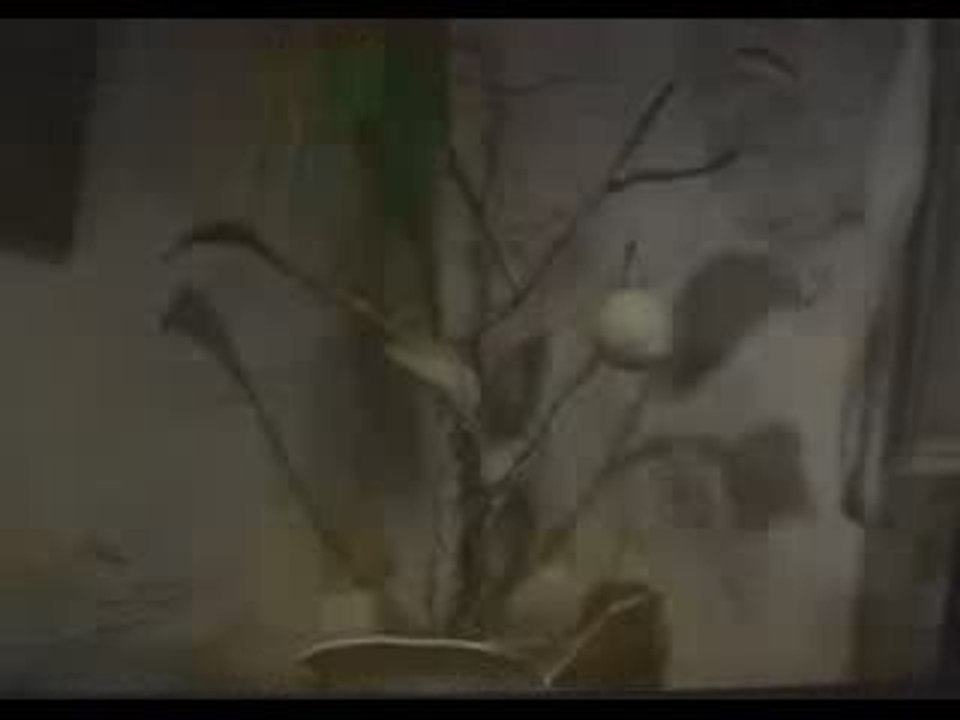 PART 1-3 Jedne noce v jednom meste