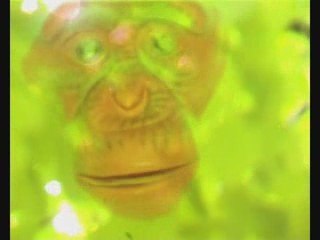 Booze & Pills by Happy Ghosts