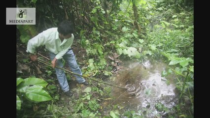 Perenco Les tribulations d'un pétrolier français en Equateur