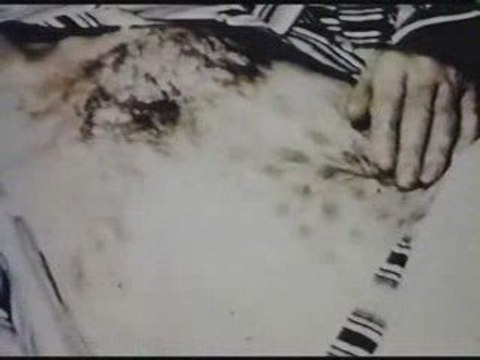 mysteres l'ovni de Falkon Lake soucoupe