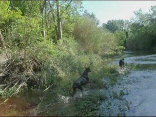 Sortie avec titi et poucinette le 23 04 2009