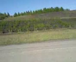 Blaster RS12 vs Nitro Jaguar