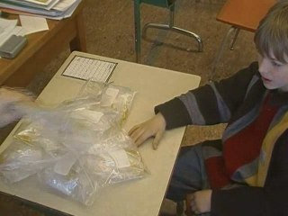 vidéo multiplication