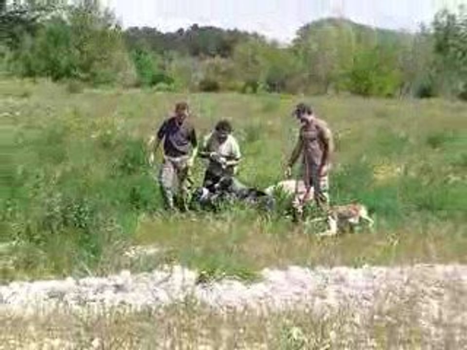 les daltons en folie 2