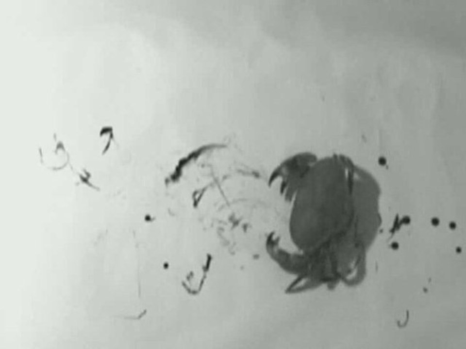 crabe