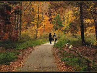 Aslı Güngör-son mektup