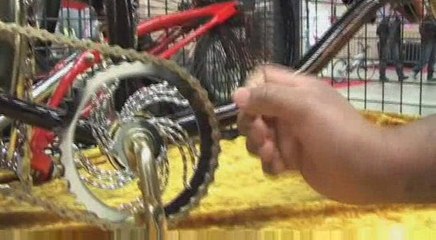 Vincennes : Paris Bike Days 2009