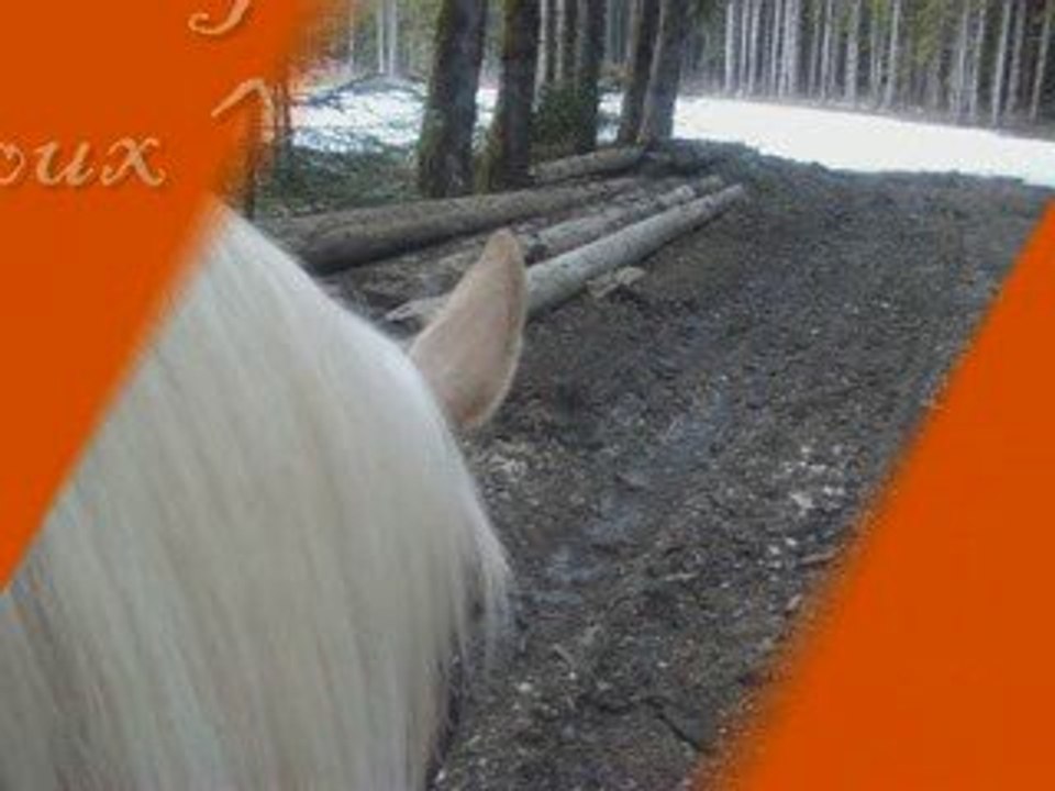 4 avril 2009
