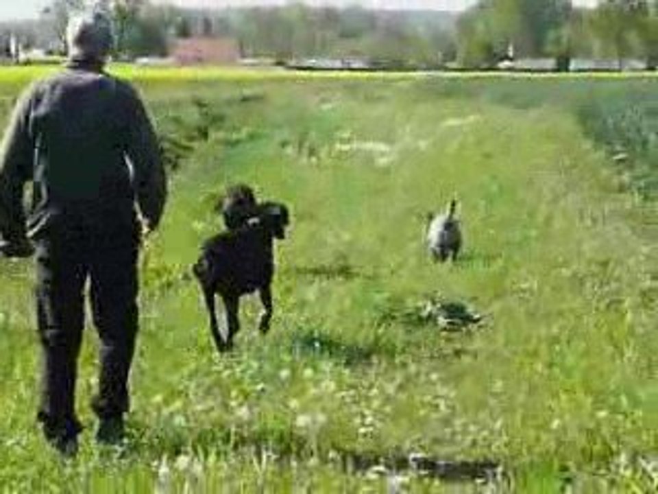 04Avril24-balade