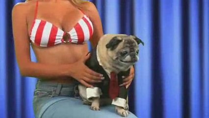 The Right to Bear Testicles!