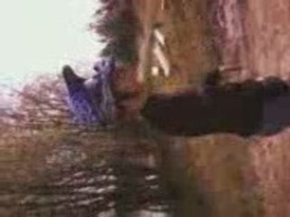 Vidéo-0012