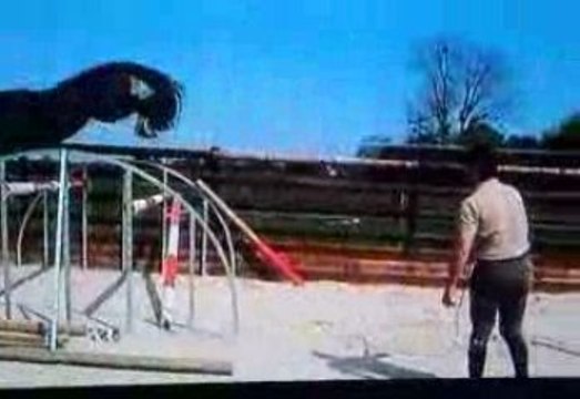 4ans par quidam de revel