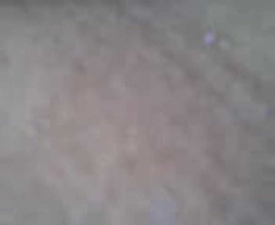 Flip Back transfert Benoît