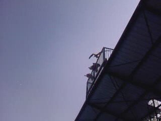 Zoo de Beauval. Le spectacle des rapaces.