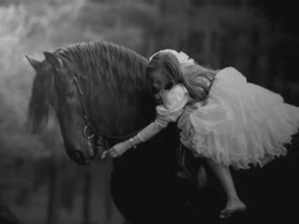 Non à l'hippophagie !!!!!
