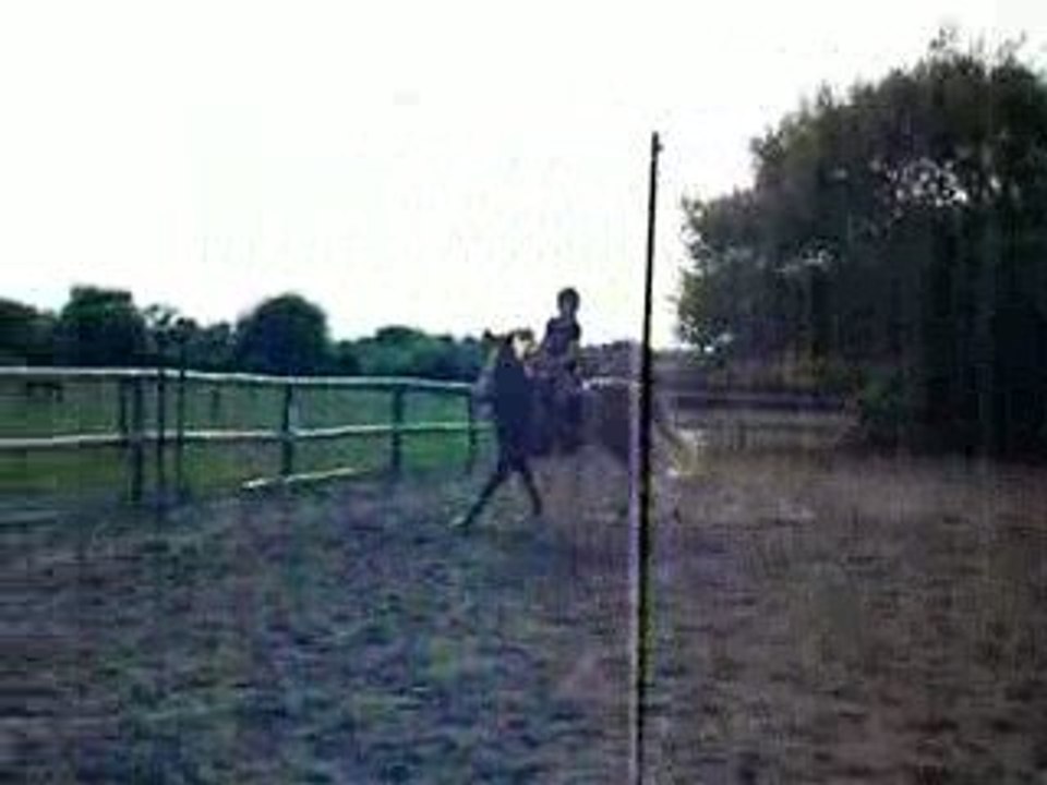 Vertical Kidjy