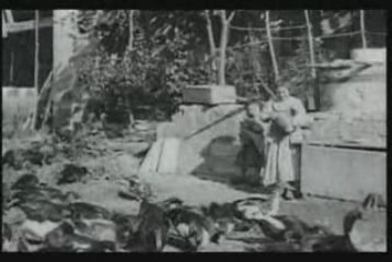 Les Frères Lumière - 1896 - Basse-Cour -