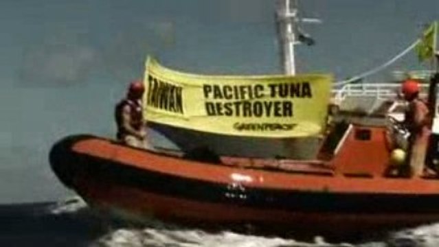 greenpeace koru dünyanı tanıtım filmi