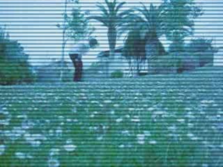 Lukas trickz training day