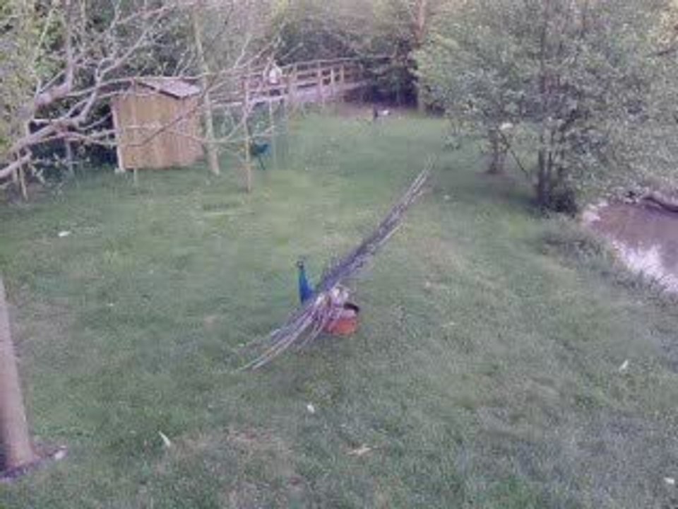 Zoo de Beauval