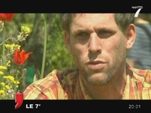 Jardin des plantes à Nantes : Portrait du Camélia