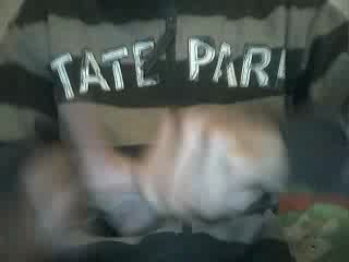 Magie mouchoire qui disparait