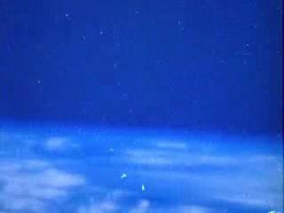 Boards of canada - dayvancowboy