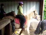 Poney equitation