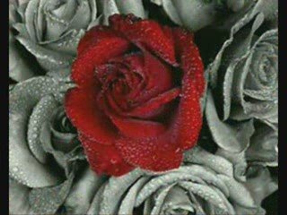 ••**•.¸_¸.•*ღ♥ღ,*•.*Music armonica••**•.¸_¸.•*ღ♥ღ,*•.*