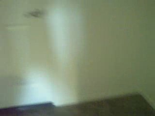 New Home Harvest Plan 3 Imperial 92251 interior