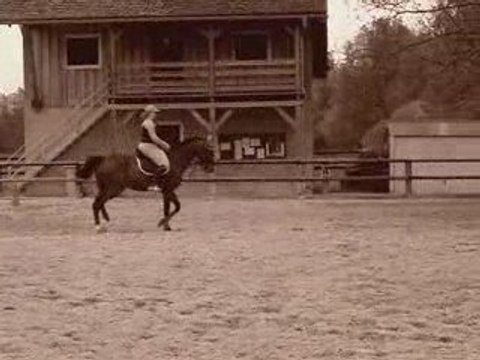 Dressage entrainement le 24 avril 2009
