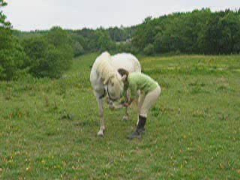Révérence