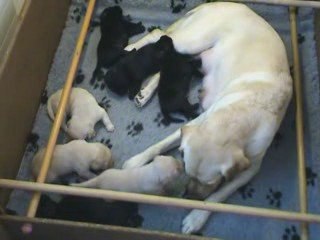 Kaly - Portée A - 23.04.2009