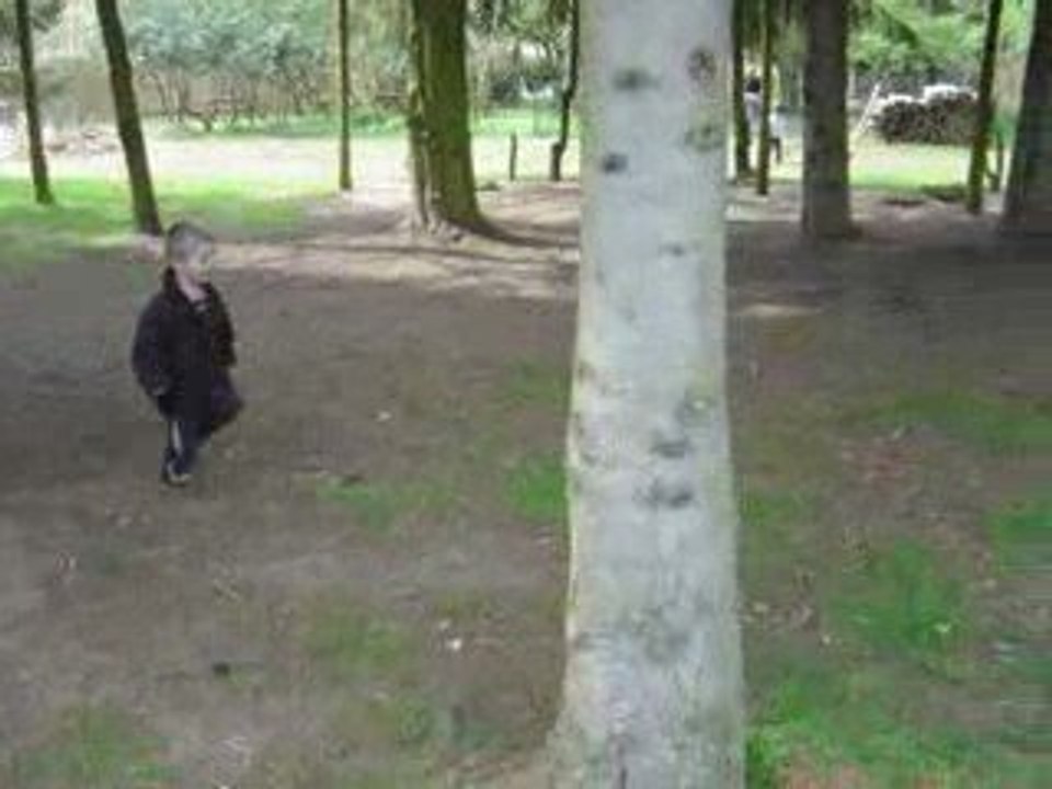 A la chasse aux poulettes