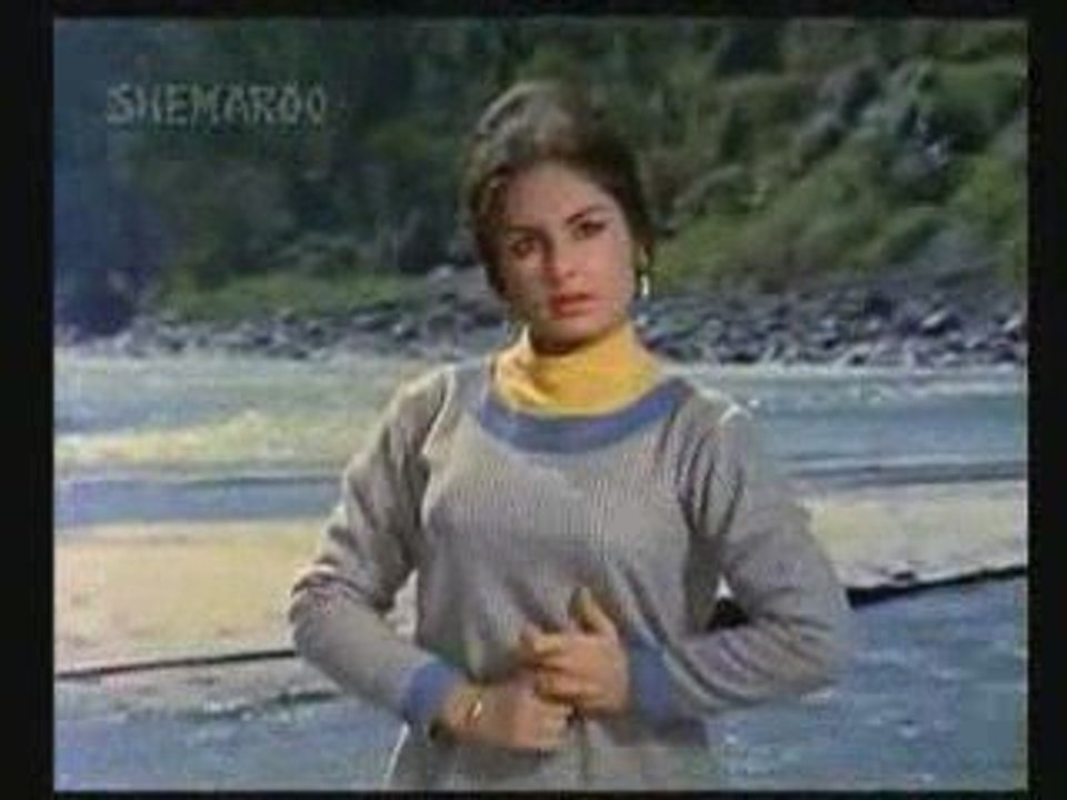 Ae Gulbadan - Professor