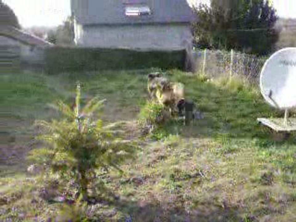 Les Grosses au jardin 2