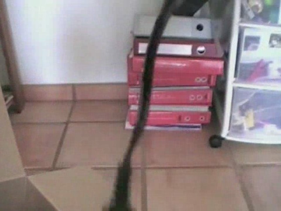 Camescope JVC Everio HDD