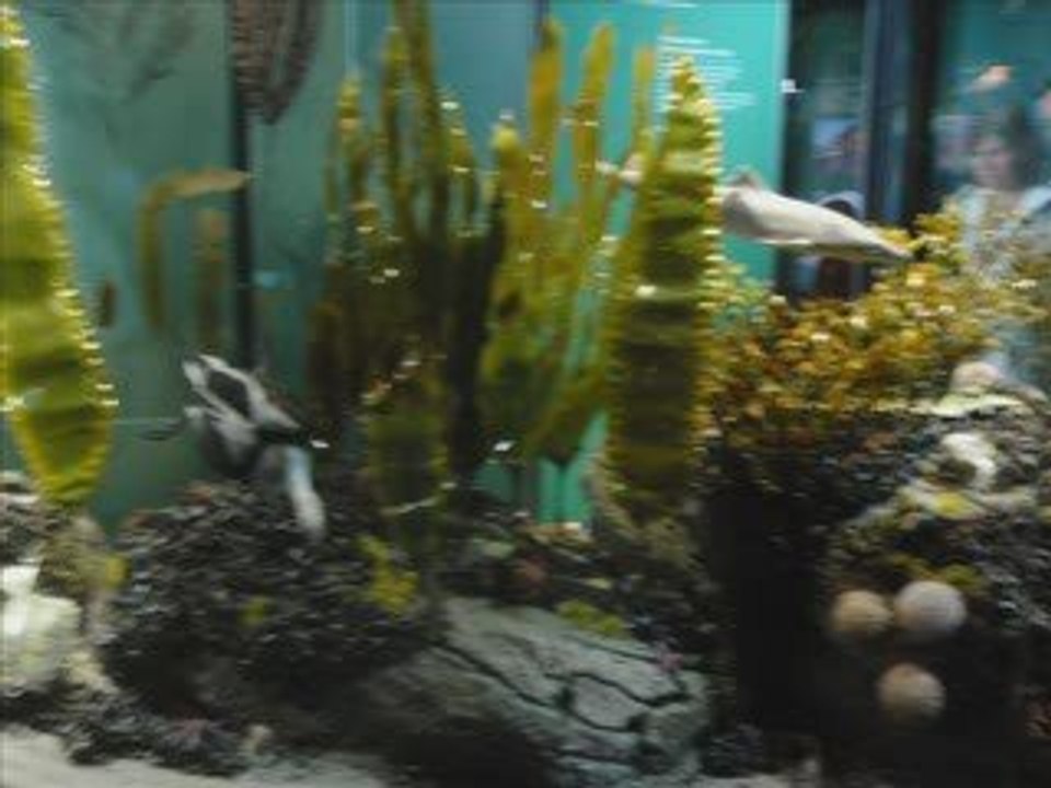 Stralsund April 2009