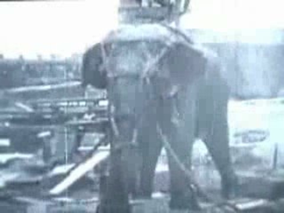 Electrocution de Topsy, Luna Park, Coney Island 1903