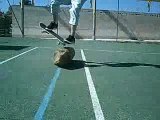 Ollie par dessus un rondin de bois (2board)