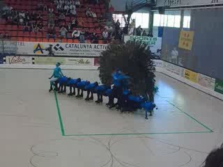 Final 4 CERS 2009 - Mi-temps Artistique