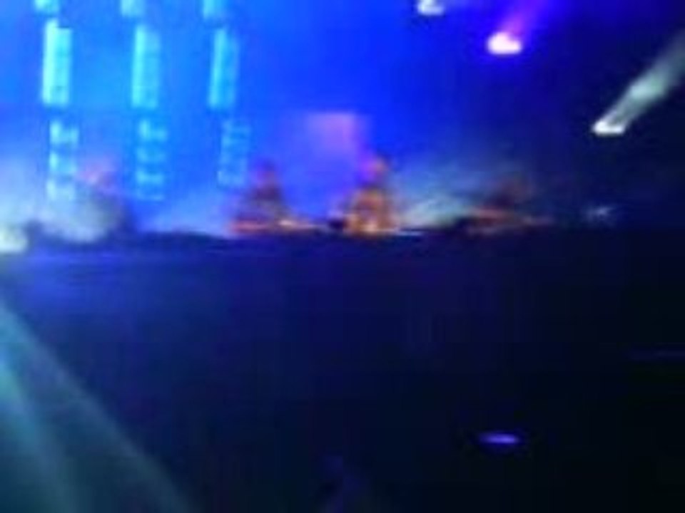 Birdy nam nam